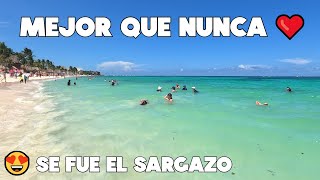 PLAYA DEL CARMEN HOY⭐LA MEJOR PLAYA DE LA CIUDAD😍INCREIBLE SIN SARGAZO 16 JULIO 2022 [upl. by Sykes418]