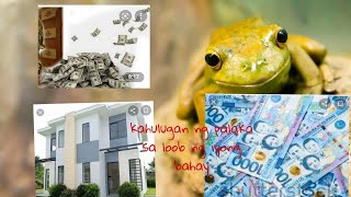 kahulugan ng palaka kapag pumasok sa loob ng bahay [upl. by Ekihc]