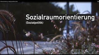 Sozialraumorientierung  Interview Prof Wolfgang Hinte [upl. by Fransen570]