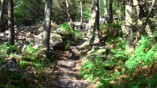 Hiking the 1000 steps near Mount Union PA [upl. by Enyt427]