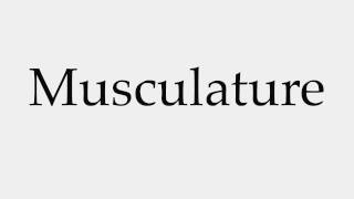 How to Pronounce Musculature [upl. by Kegan]