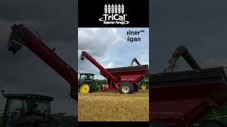 Michigan Harvest farming tonnage agriculture triticalerye [upl. by Star]