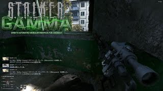 stalker gamma 11 [upl. by Nyrhtakyram891]