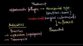 Pseudomonas aeruginosa treatment [upl. by Medlin]