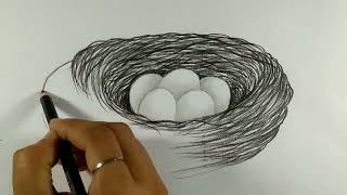 How to draw Bird nest and eggnest drawing by charcoal [upl. by Wyler]