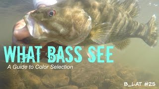 What Bass See BLat 25 How to Select Lure Colors [upl. by Sihtnyc603]