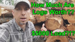 How Much Are My Logs Worth [upl. by Lyrem]