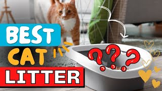 Best Cat Litter 2023 amp 2024 TESTED [upl. by Prima]