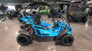 2022 Hammerhead Off Road Mudhead 208R  New GoKart For Sale  Prince George VA [upl. by Ragucci]