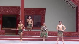 Pōwhiri  Welcome ceremony at marae Te Puia Rotorua New Zealand [upl. by Dunton592]