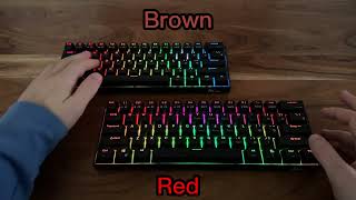 Red switches vs Brown switches [upl. by Chobot800]