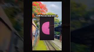 শিখে রাখো [upl. by Asilehc]