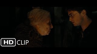 Godrics Hollow Part 2  Harry Potter and the Deathly Hallows Part 1 [upl. by Adnwahsar884]