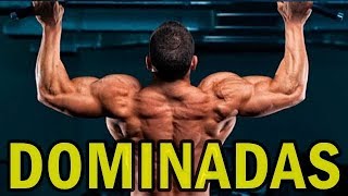 DIFERENTES TIPOS DE DOMINADAS PARA UNA ESPALDA MÁS ANCHA [upl. by Dnomayd]