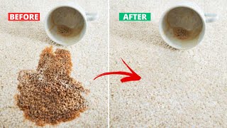 How to REALLY clean your CARPET plus the Science of how OxiClean Removes Stains [upl. by Candis]