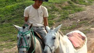 San Joaquín Beni [upl. by Claybourne757]