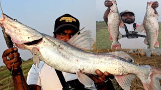 Big Sangara Tengara Fish Fishing Techniques  Wallago Attu Fishing  Ahtesham khan Fishing [upl. by Ailed]