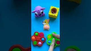 Great Squishy Corgi Work 🤩🤣😵‍💫 satisfying great squishy baby corgi funny shorts [upl. by Baecher]