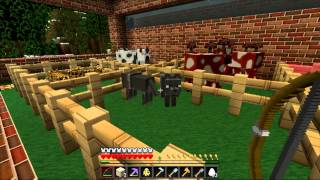 Soartex Fanver Texture Pack Review Minecraft 131 [upl. by Nileek]