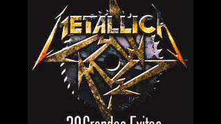 METALLICA 30 GRANDES EXITOS [upl. by Wildee]