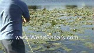 POND WEED CUTTER for removing MILFOIL HYDRILLA CATTAIL LILY PADS [upl. by Dinse132]