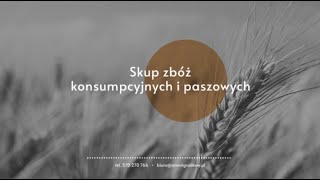 Skup zbóż konsumpcyjnych i paszowych sprzedaż zboża Amrol Sławomir Cygan Grodków [upl. by Newby]