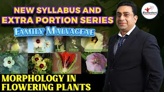 New syllabus and Extra portion Series I Family Malvaceae I Morphology in flowering plants [upl. by Willy]