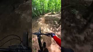 Mountain biking through the woods mtb mtblife mountainbike [upl. by Edora]