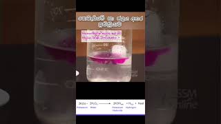 පොටෑසියම්  ජලය අතර ප්‍රතික්‍රියාව Reaction between Potassium and the water sciencewithsineth [upl. by Meta]