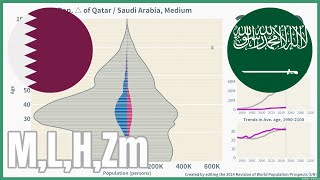 🇶🇦Qatar vs 🇸🇦Saudi Arabia Comparison of Population Pyramids 19502100 4 scenarios wpp2024 [upl. by Cyrus437]