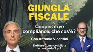 Cooperative compliance che cos’è  Giungla Fiscale  Ep 2 con A Vicentini [upl. by Yrollam]