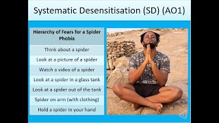 Behaviourist Treatment of Phobias Systematic Desensitisation Flooding for A Level Psychology Exams [upl. by Noman366]