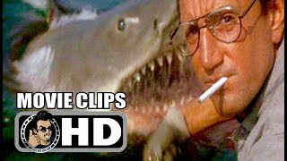 JAWS Clips  Trailer 1975 Steven Spielberg [upl. by Bollay]