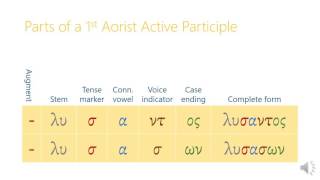 131 Aorist Participles [upl. by Ajad944]