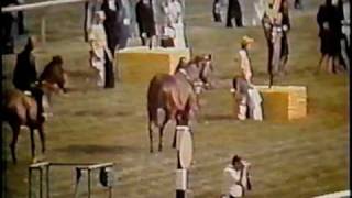 SECRETARIAT  1973 Preakness Stakes  Part 2 CBS [upl. by Ahsito]