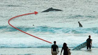 Was That a Fish  Snapper Rocks 🌊Sunday 6 August 2023 [upl. by Bill]