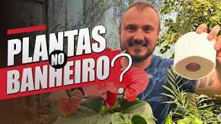 PLANTAS para BANHEIRO  Aprenda como ESCOLHER e cuidar [upl. by Eek75]