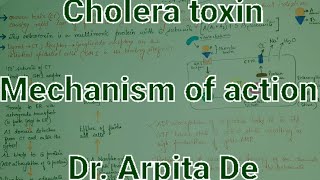 Cholera toxin [upl. by Nnail302]