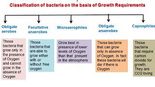 Classification of Bacteria [upl. by Aney]