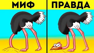 101 увлекательный факт который не оставит вас равнодушными [upl. by Noir915]