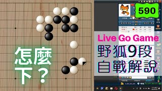 【網路圍棋自戰解說 590】野狐9段｜一間低夾雙飛燕的變化，碰後二路扳該怎麼應對？ [upl. by Oirasor410]