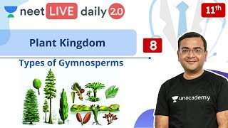 NEET Plant Kingdom  L8  Gymnosperms  Class 11  Live Daily 20  Unacademy NEET  Pradeep Sir [upl. by Ressler404]