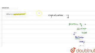 What is cephalisation  11  ANIMAL KINGDOM  BIOLOGY  PRADEEP  Doubtnut [upl. by Hastings]