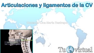 Articulaciones y ligamentos de la columna vertebral  Columna vertebral [upl. by Anyal]