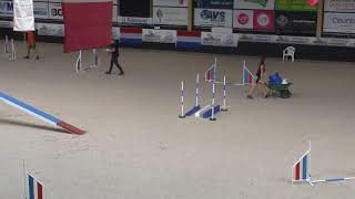 IMCA Individual Agility [upl. by Sneed]