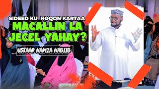 quotSIDEED KU NOQON KARTAA MACALLIN LA JECEL YAHAYquot  USTAAD HAMZA HABIIB [upl. by Einoj]