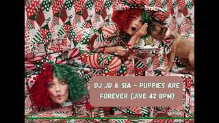 Dj JD amp Sia  Puppies are forever jive 42 bpm [upl. by Eiramanna]