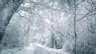 Blizzard Sounds for Sleep Relaxation amp Staying Cool  Snowstorm Sounds amp Howling Wind in the Forest [upl. by Ylak]