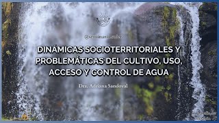 Dinámicas socioterritoriales y problematicas del cultivo uso acceso y control de agua [upl. by Legnaesoj]