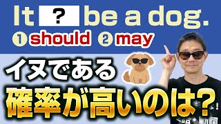 【may】実は間違いが多い助動詞mayの使い方をおさらい！●●かもしれないと表現する時の【確信度】を解説 [upl. by Schram]